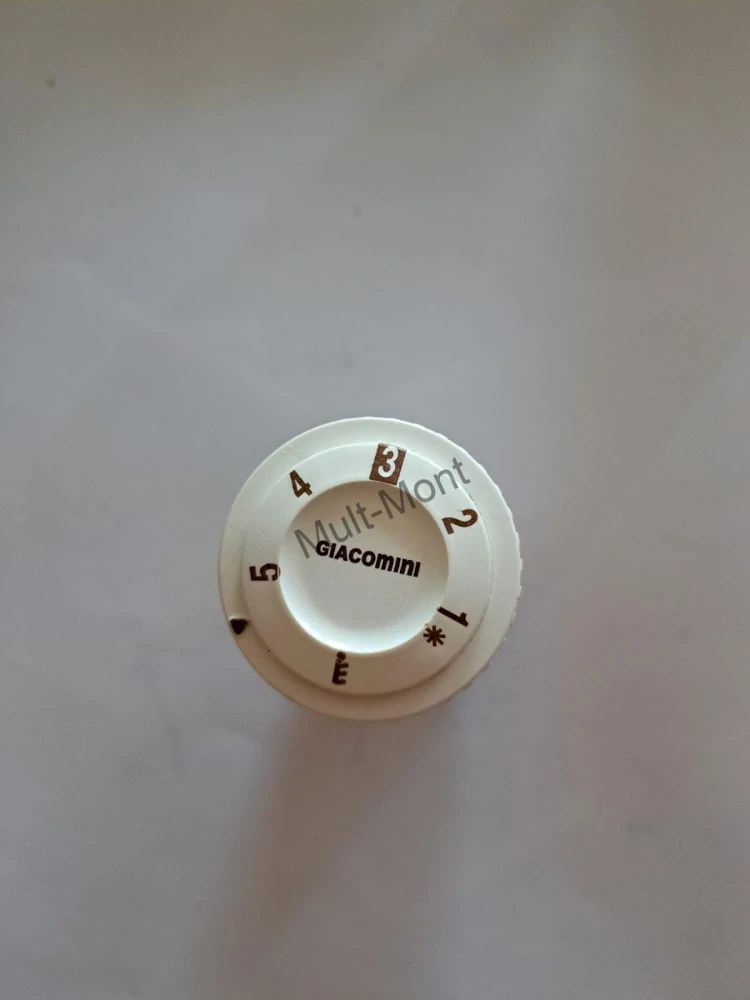 Termostatická hlavica GIACOMINI R456